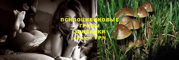 хмурый Баксан