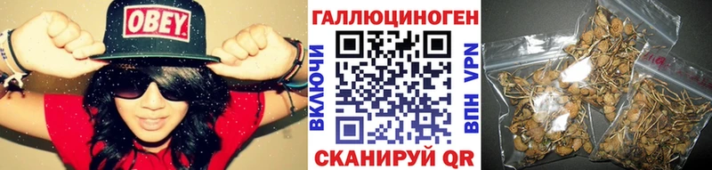 даркнет сайт  Югорск  Псилоцибиновые грибы Magic Shrooms 